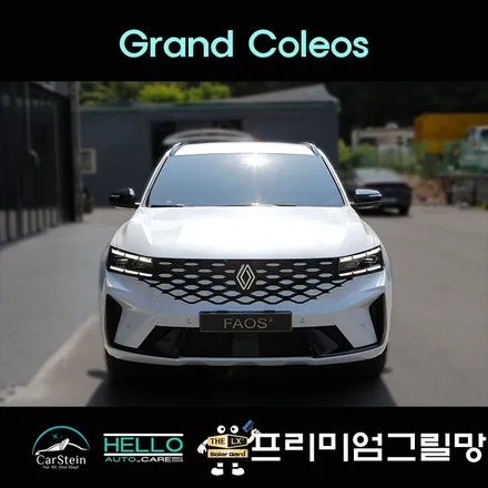 그랑 콜레오스 그릴망 작업 전문점에서 차량 보호(프리미엄 그릴망)
