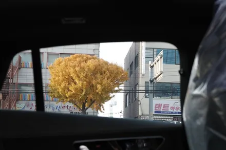 EQE 안전한 썬팅을 찾는다면 THE LX 선택 추천드려요.