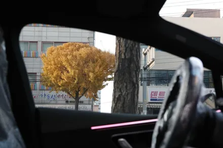 EQE 안전한 썬팅을 찾는다면 THE LX 선택 추천드려요.
