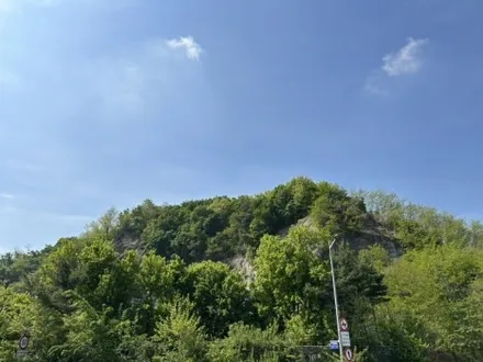 구로 카니발 7인승 대리석바닥 그레이컬러 시공 후기