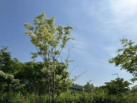 구로 카니발 7인승 대리석바닥 그레이컬러 시공 후기