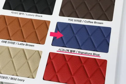 카니발 실내튜닝 모빌하임 모노륨 매트 시공(시그니쳐 블루)
