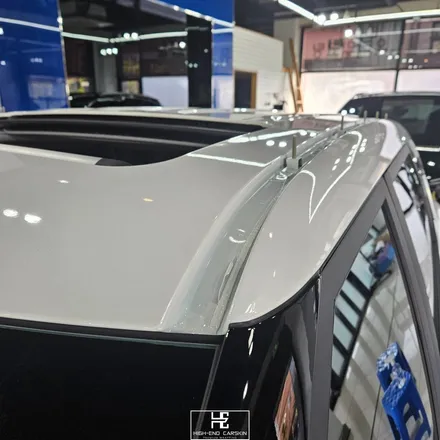 일산 셀토스 루프스킨 가격과 시공 사례 / 파주시 와동동