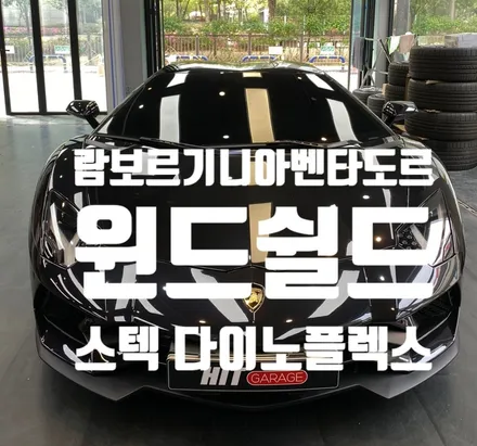 대구 람보르기니 아벤타도르 S 로드스터 스텍 다이노플렉스 윈드쉴드시공/대구윈드쉴드/대구슈퍼카/대구ppf/대구랩핑 / 대구 달성군