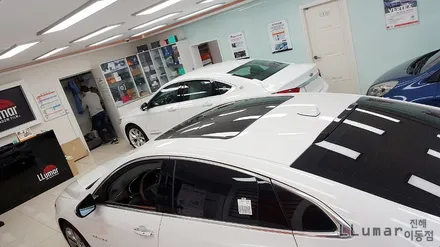 올 뉴말리부 루프스킨 시공.진해 루마이동점 / 창원시 진해구