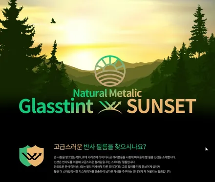 보라색으로 변해버린 염색필름 썬팅 뜯고 새로하기 [피팅] / 인천 석남동