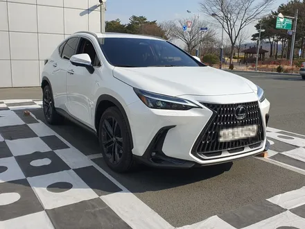 렉서스 NX350h 순정형 어라운드뷰 시공, 홍스대구