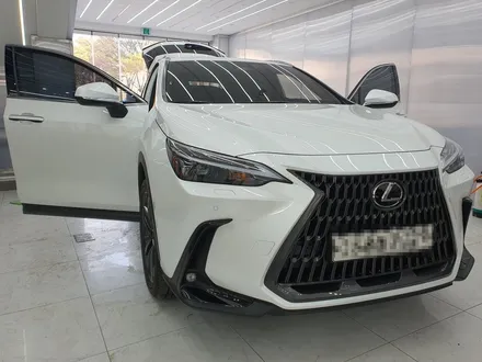 렉서스 NX350h 순정형 어라운드뷰 시공, 홍스대구