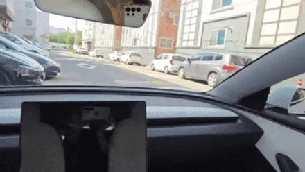 대구 신차패키지 테슬라 틴팅 고민후에 선택하다