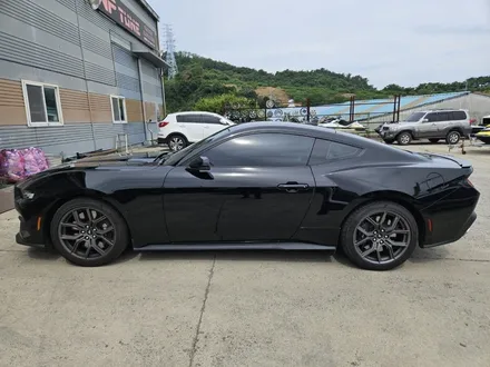 대구/경산/휠도색/휠수리/휠복원/잘하는곳/포드/머스탱/순정휠/블랙유광/분체도색