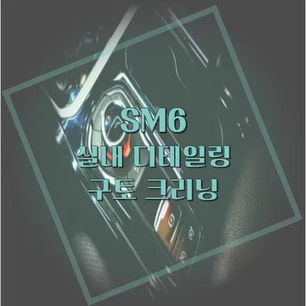경기 북부 양주 의정부 SM6 자동차 구토 클리닝 (+ 실내디테일링) / 양주, 구리, 의정부