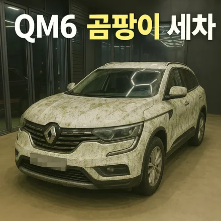 양주 의정부 QM6 자동차 곰팡이 차량 특수 세차 (ps. 플로우매트 탈거) / 양주, 구리, 의정부