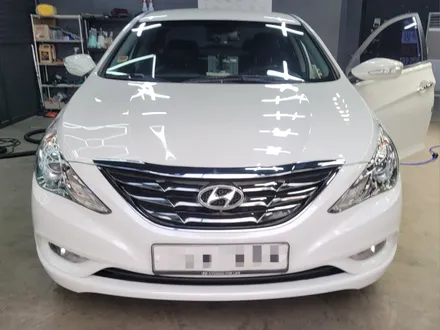 양주 소나타 개털 곰팡이 실내크리닝 / 양주, 구리, 의정부