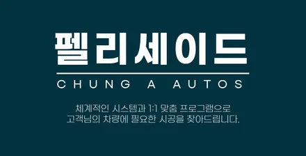 부천 윈도틴팅 펠리세이드에 브이쿨K 시공하기