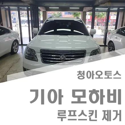 루프스킨 제거 모하비 지붕을 깨끗하게.