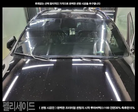 부천 썬팅 신차 펠리세이드 루마버텍스1100썬팅 PPF 시공