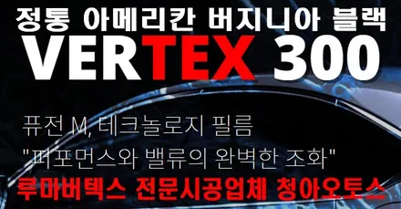 부천썬팅  루마버텍스 신형그랜저