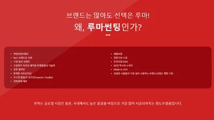 4세대 카니발 MQ4 루마버텍스 900+900 / 충주시 교현동
