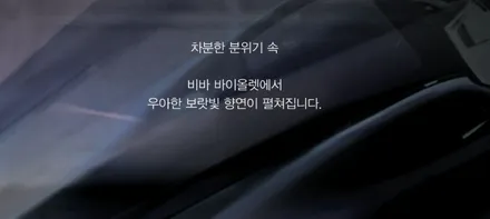 (충주썬팅) 투싼 NX4 블락포디 바이올렛 시공 / 충주시 교현동