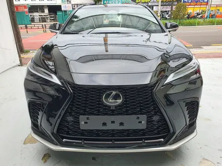 렉서스 NX450h + F 스포츠 레이노 팬텀 F95 썬팅 (비기닝 창원점)