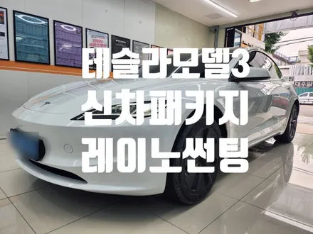 테슬라 모델3 레이노썬팅 시즌2 f95 ppf 생활보호 및 신차팩 !