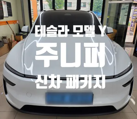 테슬라 모델 Y 주니퍼 신차 패키지 레이노 F95