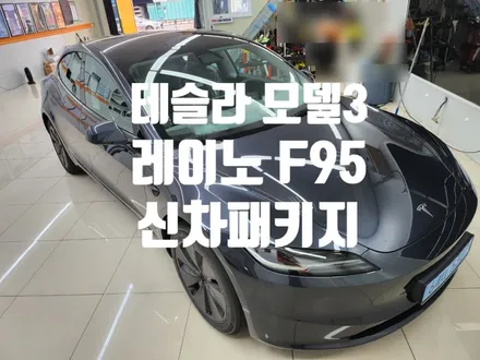 테슬라 모델 3 신차 레이노 F95로 결정!