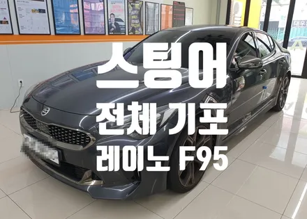 스팅어 오래된 썬팅 제거 레이노 썬팅 기포 완벽 제거!