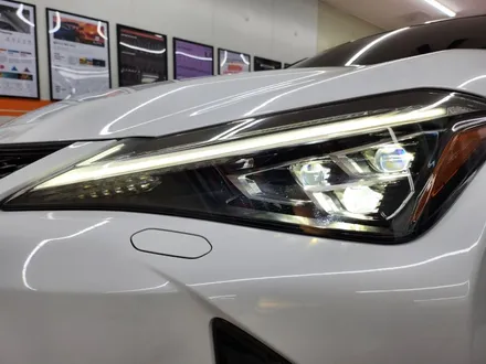 렉서스 UX250 F-스포츠 레이노얼티넘XP 필름 시공