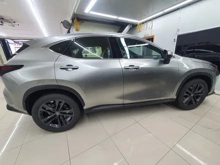 렉서스 NX350h 비반사 열차단 레이노 틴팅