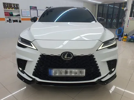 렉서스 RX500h 레이노 크로마9완벽한 색상 조합!