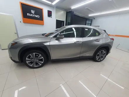 렉서스 UX 300e 플러그인 하이브리드 오닉스 블랙 틴팅 시공기