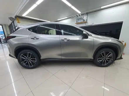 지인 소개로 방문한 렉서스 NX350h 신차 레이노 F95