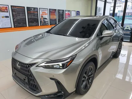 렉서스 NX350h 비반사 열차단 레이노 틴팅