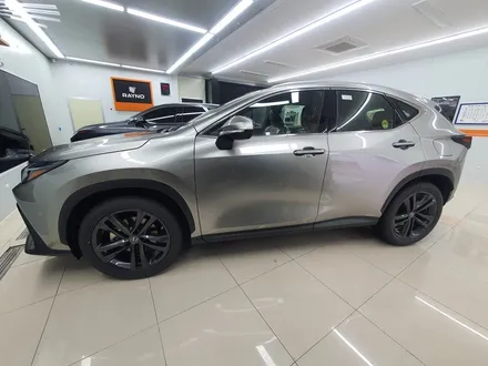 렉서스 NX350h 비반사 열차단 레이노 틴팅