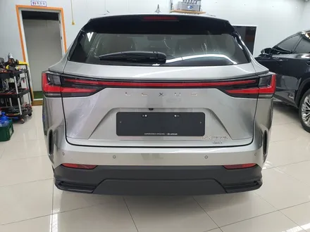 렉서스 NX350h 비반사 열차단 레이노 틴팅