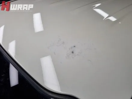 고단했던 부천 루프스킨 제거 작업기 / 부천 소사구 송내동