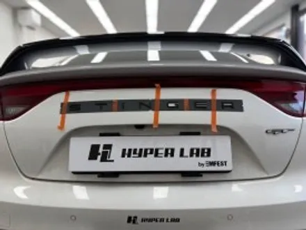 [천안랩핑]기아자동차 스팅어 마이스터 루프스킨의 정석을 보여주다🚗💨 / 충남 천안