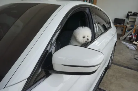스킨게러지 + BMW 크롬몰딩랩핑 + BMW크롬랩핑 + 크롬블랙 + G30엠퍼포먼스데칼 + BMW G30랩핑 + 전체랩핑 + WRAP / 성남시 분당구 동원동