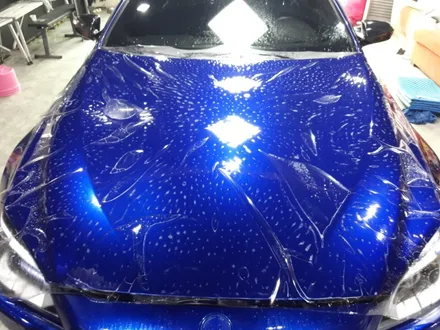<부산랩핑,부산ppf>BMW M6 PPF 프론트 패키지 / 부산 강서구 명지동