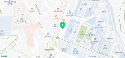 <부산랩핑,부산ppf>레인지로버 보그 & 오토바이오그라피 &보그슈퍼차져 루프스킨 / 부산 강서구 명지동