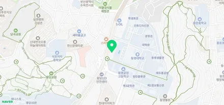 <부산랩핑,부산ppf>BMW X4 루프스킨 / 부산 강서구 명지동