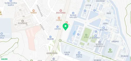<부산랩핑,부산ppf>닷지 챌린저 srt 전체랩핑 / 부산 강서구 명지동