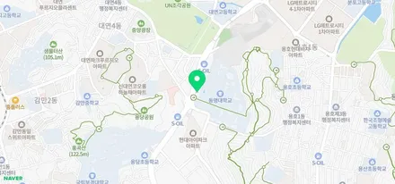 <부산랩핑,부산ppf>폭스바겐 파사트 루프스킨 및 반사경 부분랩핑 / 부산 강서구 명지동