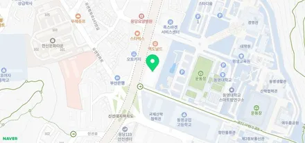 <부산랩핑,부산ppf>랜드로버 뉴디스커버리 5 블랙팩 및 ppf / 부산 강서구 명지동