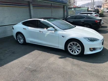 <부산랩핑,부산ppf,부산자동차랩핑>테슬라 모델 S100D ppf 생활보호패키지 / 부산 강서구 명지동