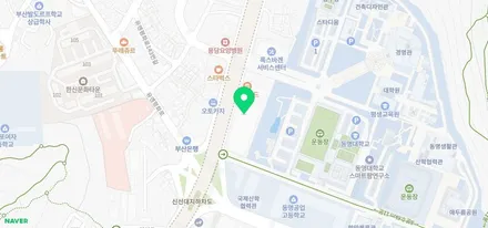 <부산랩핑,부산ppf>스팅어 앞범퍼ppf &미니 컨트리맨 앞범퍼 ppf / 부산 강서구 명지동