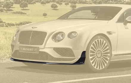 벤틀리 GT 용 만소리 카본 프런트 립 MANSORY BENTLEY / 경기 성남 분당