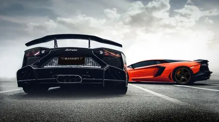 람보르기니 아벤타도르 만소리 카본 후드 MANSORY CARBON / 경기 성남 분당