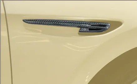 벤틀리용 만소리 디자인 B로고 카본 애드온 키트 MANSORY / 경기 성남 분당